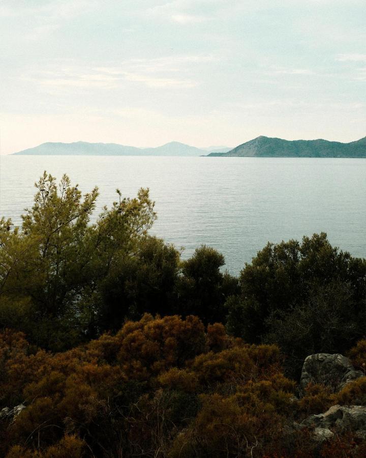 Rocas Roja Beach Hotel Faralya Εξωτερικό φωτογραφία