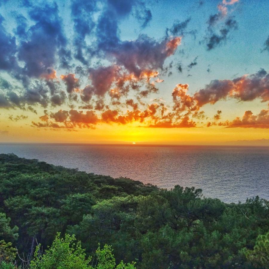 Rocas Roja Beach Hotel Faralya Εξωτερικό φωτογραφία