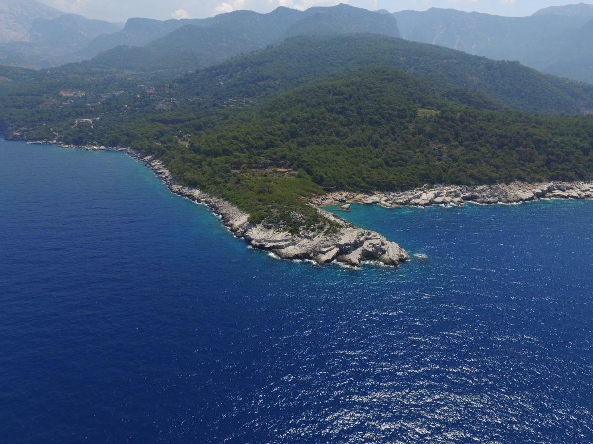 Rocas Roja Beach Hotel Faralya Εξωτερικό φωτογραφία